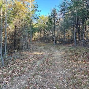 Photo #13 of HARPER VALLEY RD, LURAY, VA 8.2 acres