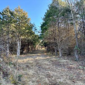 Photo #15 of HARPER VALLEY RD, LURAY, VA 8.2 acres