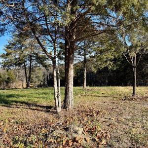 Photo #18 of HARPER VALLEY RD, LURAY, VA 8.2 acres