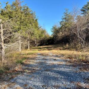 Photo #6 of HARPER VALLEY RD, LURAY, VA 8.2 acres