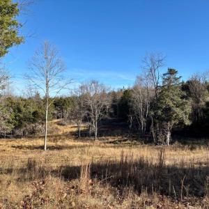 Photo #9 of HARPER VALLEY RD, LURAY, VA 8.2 acres