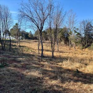 Photo #16 of HARPER VALLEY RD, LURAY, VA 8.2 acres