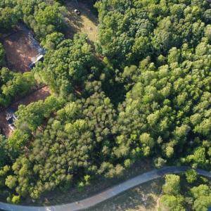 Photo #10 of 85 CARLTON DR, BUMPASS, VA 13.2 acres