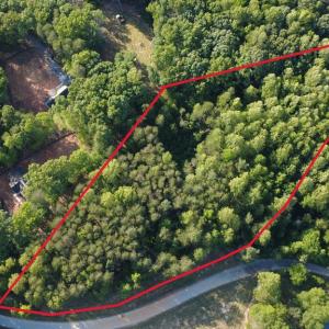 Photo #4 of 85 CARLTON DR, BUMPASS, VA 13.2 acres
