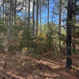 Photo #2 of OFF OF SHORES ROAD (TRACT: TANAGER ET2 2020), SCOTTSVILLE, VA 153.1 acres