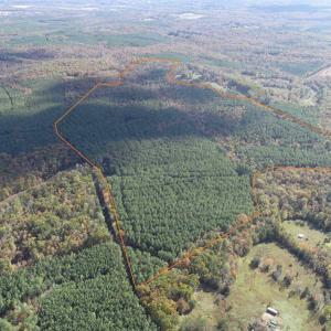 Photo #4 of OFF OF SHORES ROAD (TRACT: TANAGER ET2 2020), SCOTTSVILLE, VA 153.1 acres