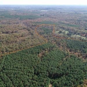Photo #6 of OFF OF SHORES ROAD (TRACT: TANAGER ET2 2020), SCOTTSVILLE, VA 153.1 acres