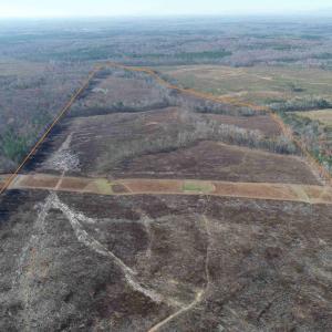 Photo #2 of WINNSVILLE DRIVE (TRACT: TANAGER ET2 2021), BREMO BLUFF, VA 159.0 acres