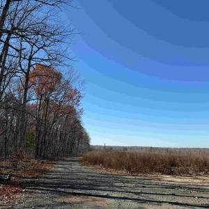 Photo #6 of WINNSVILLE DRIVE (TRACT: TANAGER ET2 2021), BREMO BLUFF, VA 159.0 acres