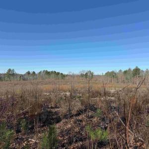 Photo #9 of WINNSVILLE DRIVE (TRACT: TANAGER ET2 2021), BREMO BLUFF, VA 159.0 acres