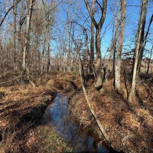 Photo #12 of WINNSVILLE DRIVE (TRACT: TANAGER ET2 2021), BREMO BLUFF, VA 159.0 acres