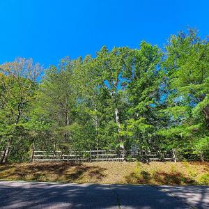 Photo #1 of CONSTITUTION HWY, ORANGE, VA 3.1 acres