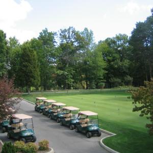 Putting Area