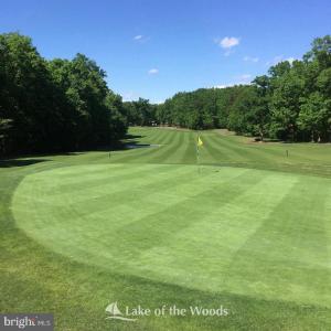 Photo #8 of 119 REPUBLIC AVE, LOCUST GROVE, VA 0.3 acres