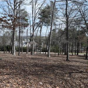 Rear View of Lot (Seasonal Lake View)