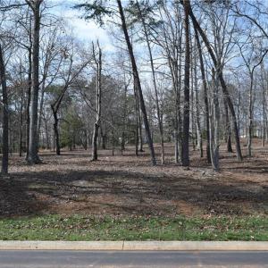 Front View of Lot