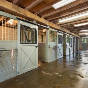 Photo #13 of 439 RUDASILL MILL RD, WOODVILLE, VA 75.1 acres