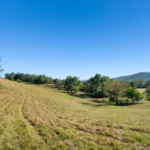 Photo #5 of 439 RUDASILL MILL RD, WOODVILLE, VA 75.1 acres