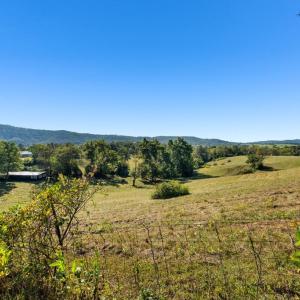 Photo #4 of 439 RUDASILL MILL RD, WOODVILLE, VA 75.1 acres