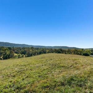 Photo #6 of 439 RUDASILL MILL RD, WOODVILLE, VA 75.1 acres