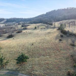 Photo #15 of MERRY OAKS ROAD, THE PLAINS, VA 33.1 acres