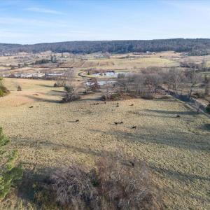 Photo #13 of MERRY OAKS ROAD, THE PLAINS, VA 33.1 acres