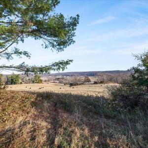 Photo #4 of MERRY OAKS ROAD, THE PLAINS, VA 33.1 acres