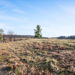 Photo #9 of MERRY OAKS ROAD, THE PLAINS, VA 33.1 acres