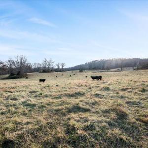 Photo #5 of MERRY OAKS ROAD, THE PLAINS, VA 33.1 acres