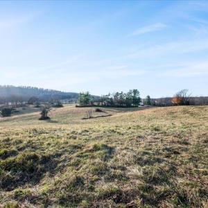 Photo #7 of MERRY OAKS ROAD, THE PLAINS, VA 33.1 acres