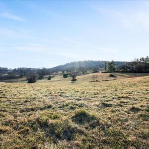 Photo #10 of MERRY OAKS ROAD, THE PLAINS, VA 33.1 acres