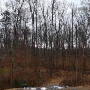 Photo #2 of 71 ALEXANDRA CIR, BUMPASS, VA 1.0 acres