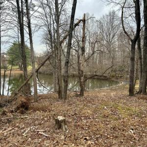 Photo #19 of MCALEXANDER RD, ORANGE, VA 3.4 acres