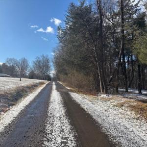 Photo #15 of MCALEXANDER RD, ORANGE, VA 3.4 acres