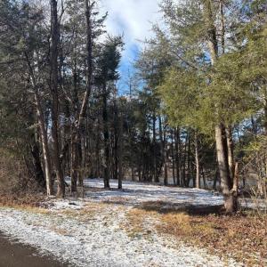 Photo #18 of MCALEXANDER RD, ORANGE, VA 3.4 acres