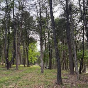 Photo #5 of MCALEXANDER RD, ORANGE, VA 3.4 acres