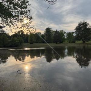 Photo #1 of MCALEXANDER RD, ORANGE, VA 3.4 acres