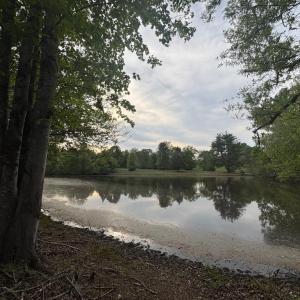 Photo #3 of MCALEXANDER RD, ORANGE, VA 3.4 acres