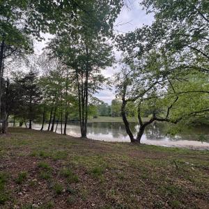 Photo #2 of MCALEXANDER RD, ORANGE, VA 3.4 acres