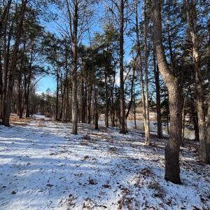 Photo #11 of MCALEXANDER RD, ORANGE, VA 3.4 acres