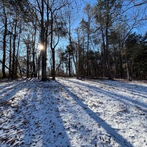 Photo #12 of MCALEXANDER RD, ORANGE, VA 3.4 acres