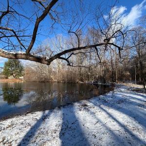 Photo #13 of MCALEXANDER RD, ORANGE, VA 3.4 acres
