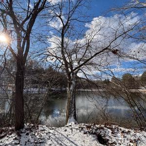 Photo #16 of MCALEXANDER RD, ORANGE, VA 3.4 acres