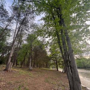 Photo #4 of MCALEXANDER RD, ORANGE, VA 3.4 acres