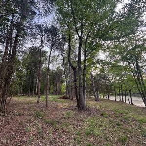 Photo #6 of MCALEXANDER RD, ORANGE, VA 3.4 acres
