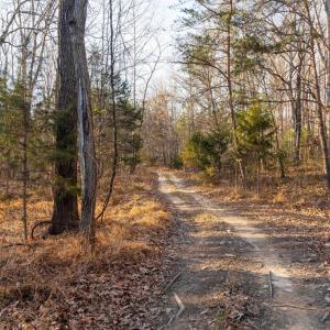 Photo #1 of WOODLAND DR, LURAY, VA 1.6 acres