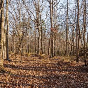 Photo #5 of WOODLAND DR, LURAY, VA 1.6 acres