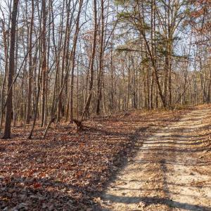Photo #6 of WOODLAND DR, LURAY, VA 1.6 acres
