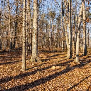 Photo #8 of WOODLAND DR, LURAY, VA 1.6 acres