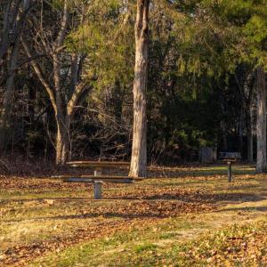 Photo #13 of WOODLAND DR, LURAY, VA 1.6 acres